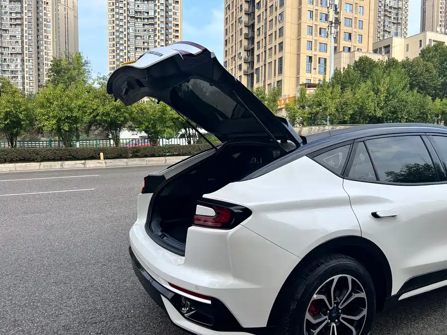 Ford EVOS - фото 33